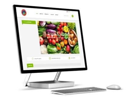 ASJ international export